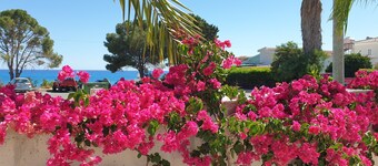 Stunning 2 Bedroom Bungalow with Private Pool in the Heart of Coral Bay.