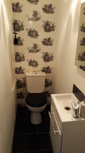 Hair dryer, towels, toilet paper