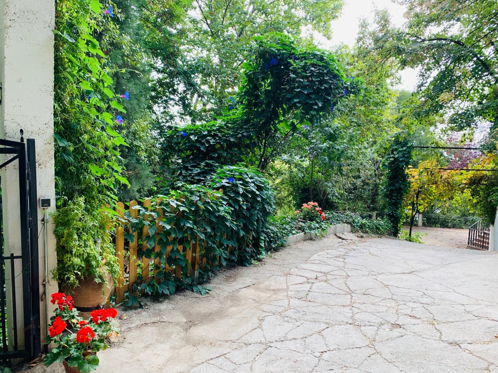 A garden with a paved walkway, a wooden fence, and potted plants.