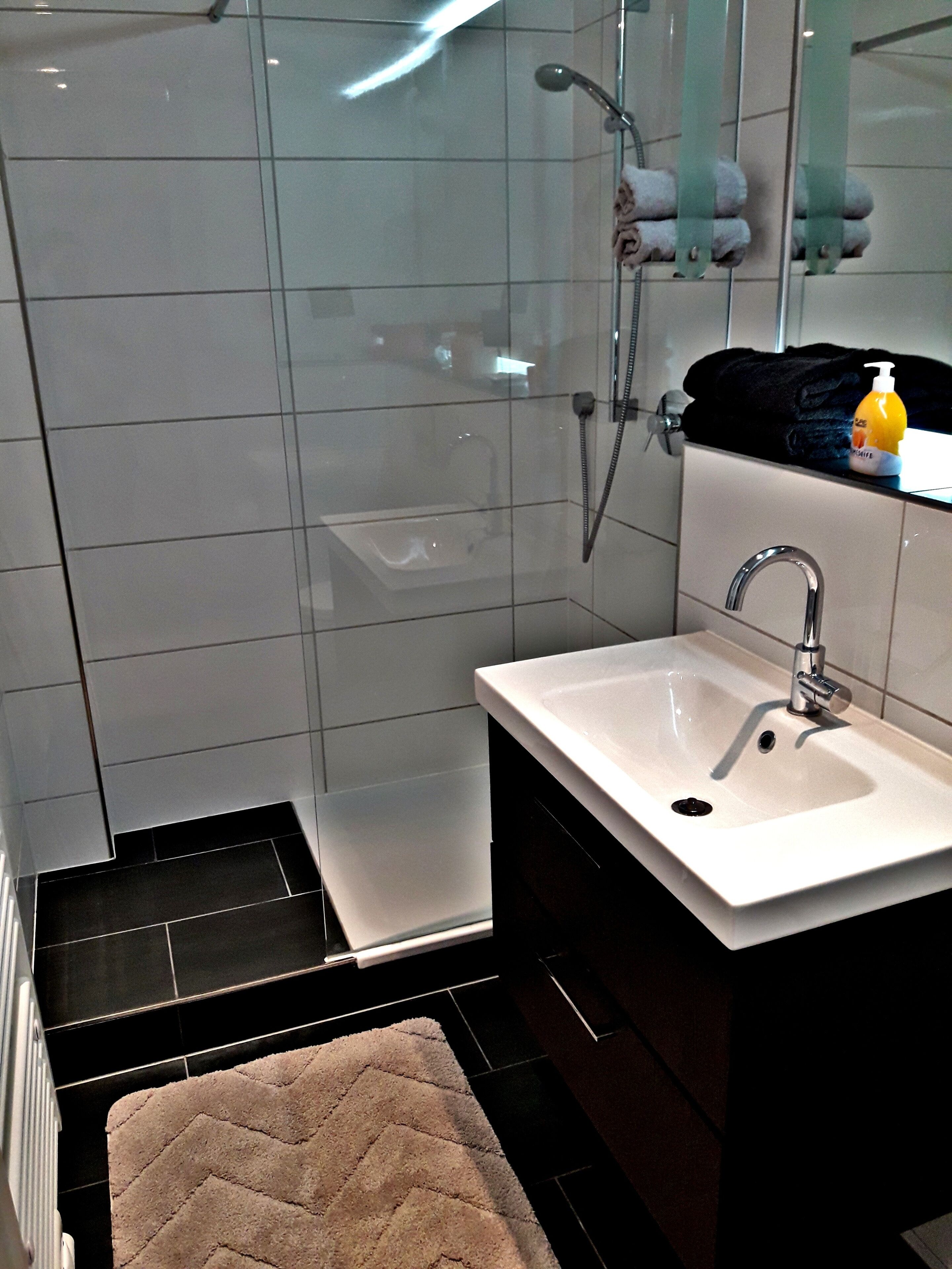 Dusche, Haartrockner, Handtücher, Seife