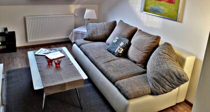 Chic apartment in the bicycle capital