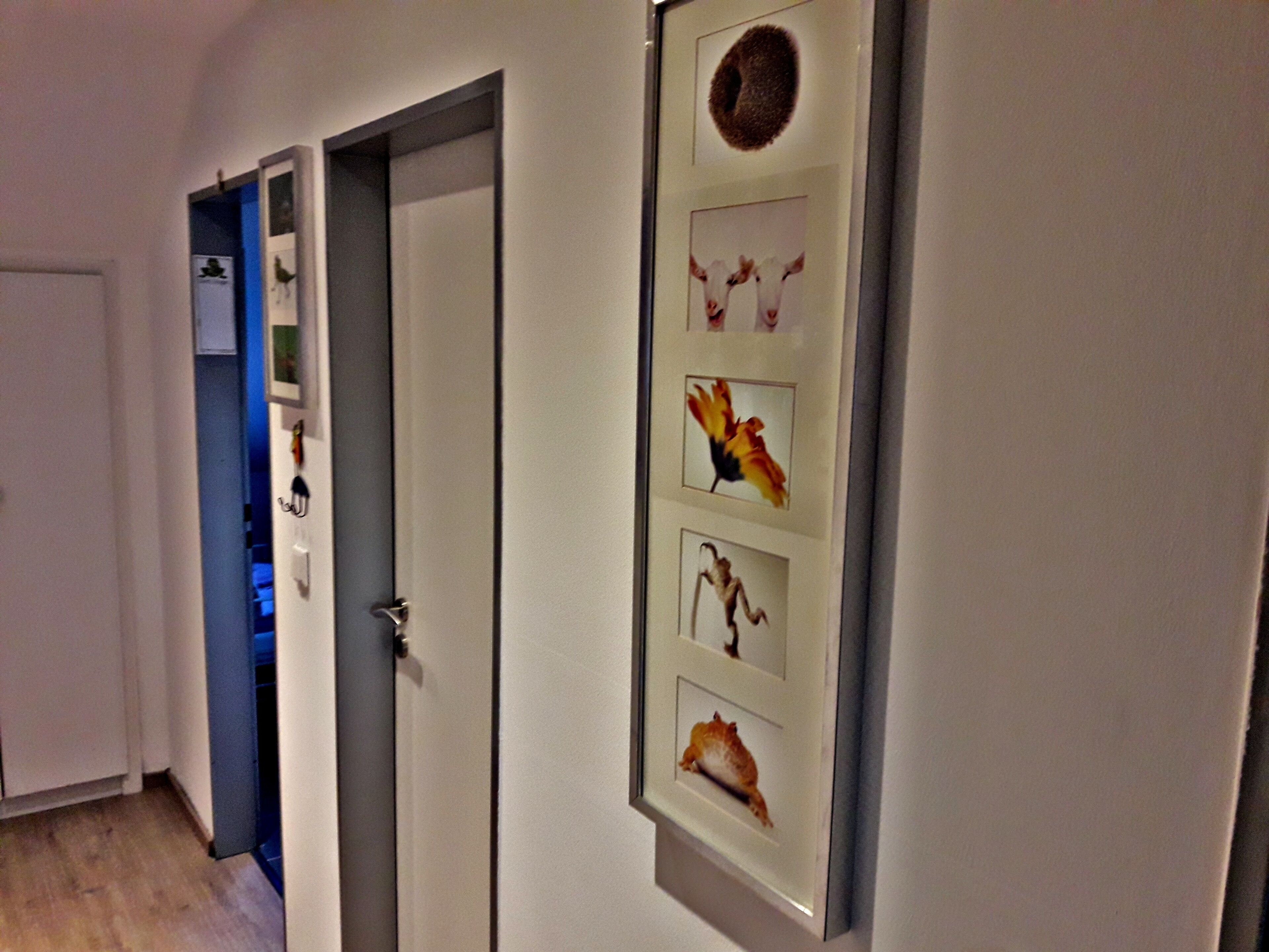 A hallway with a door leading to a room, a framed picture of a cow, and a framed picture of a flower.