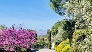 A gravel pathway flanked by various shrubs and trees, leading to a building with a tiled roof. - Charming Bastidon with Terrace, Garden, and Pool in Gordes, Luberon  (Gordes)