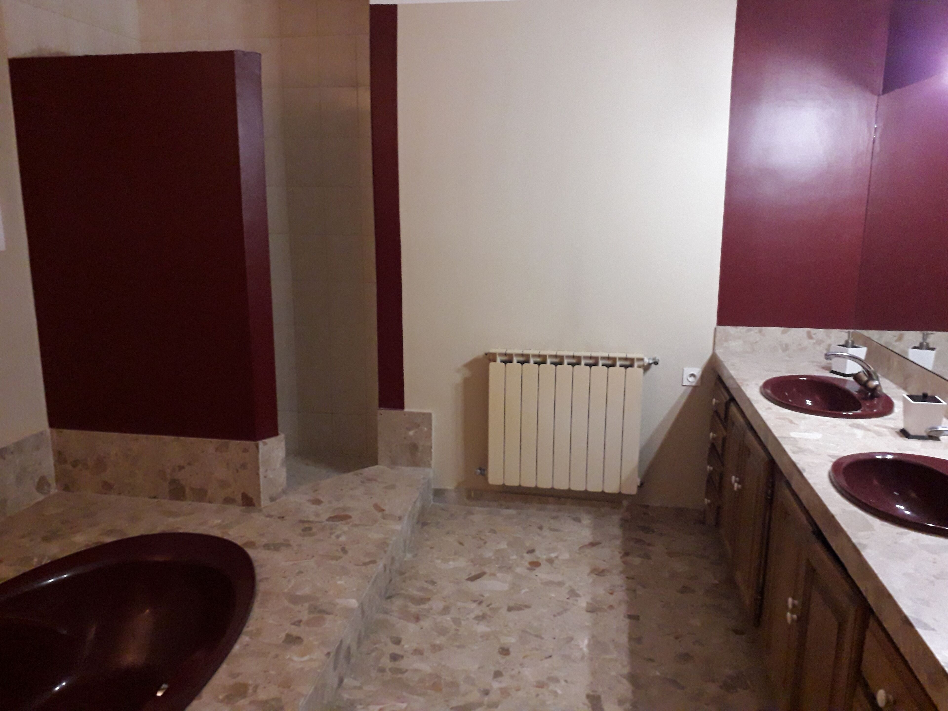 A bathroom with two sinks, a shower, and a radiator.