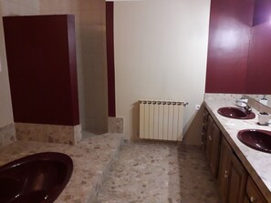 Combined shower/tub, hair dryer, towels, toilet paper - Family farmhouse in Provence on a vineyard with authentic swimming pool (Mondragon)