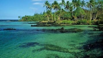 Sun loungers, beach towels