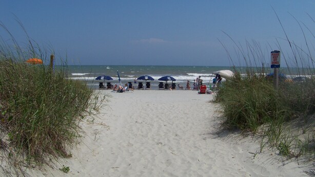 A beach with a clear path leading to the water, surrounded by tall grass. - Steps away from beach. Great for families. Townhouse with 3 bedrooms & 3 baths.  (North Myrtle Beach)