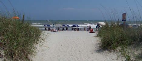 En la playa y camastros