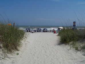 A beach with a clear path leading to the water, surrounded by tall grass. -  Ocean Views & Private Beach Walkway, 3BR Crescent beach Townhome” (North Myrtle Beach)