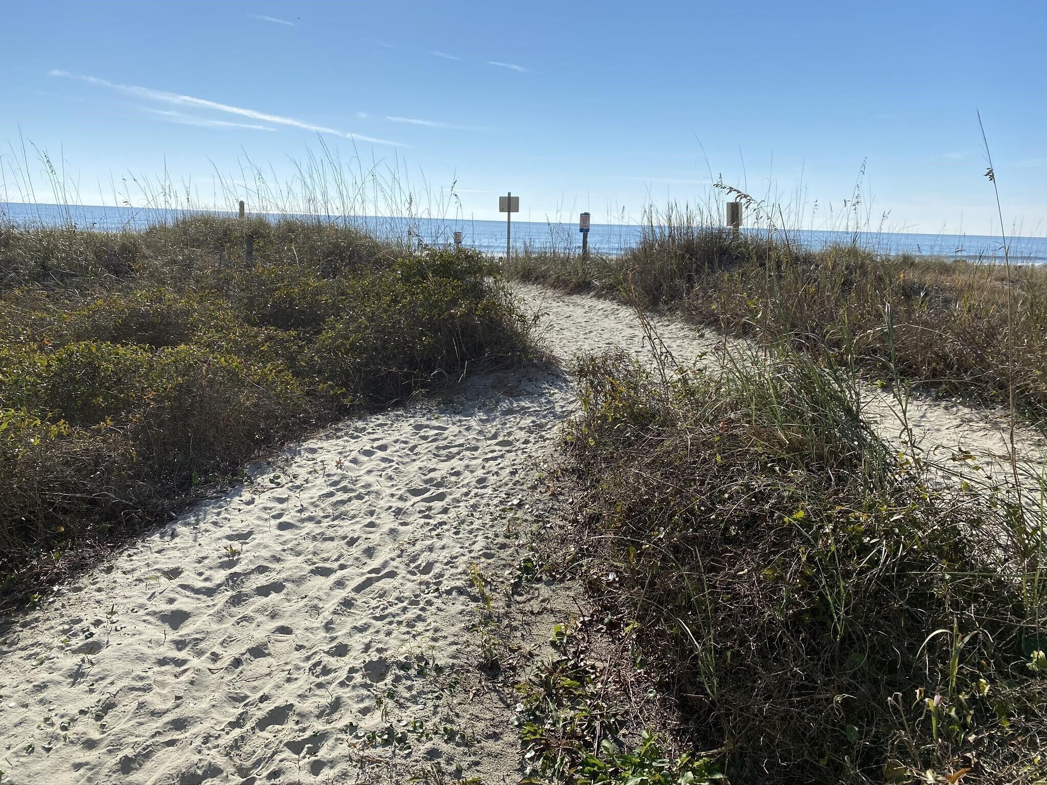 10 Best PetFriendly Rentals In North Myrtle Beach, South Trip101