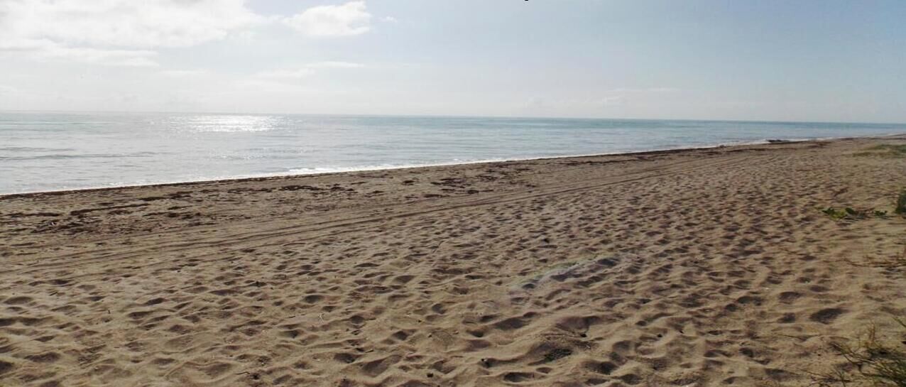 Plage à proximité, chaises longues, serviettes de plage