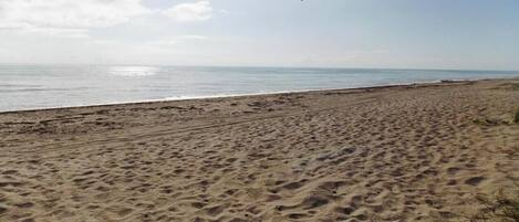 Plage à proximité, chaises longues, serviettes de plage