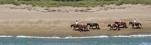 Playa en los alrededores, camastros y toallas de playa 