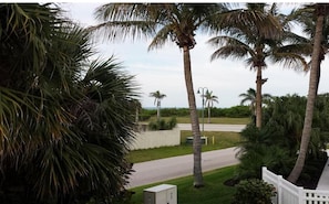 A residential area with palm trees, a white fence, and a road.