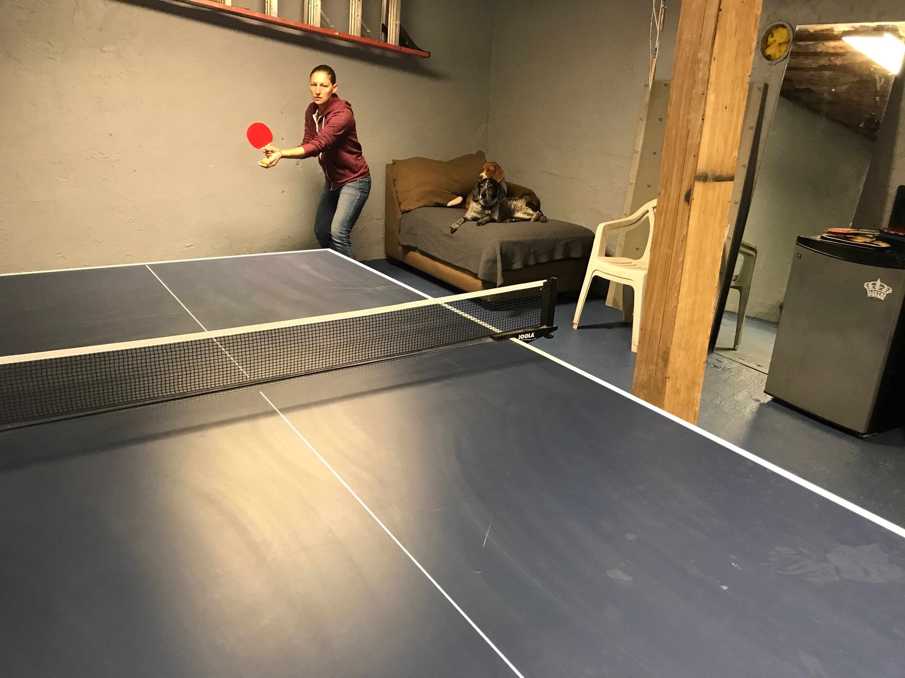 Pet-Friendly Haven: Serene Escape, 5 Miles Away from Downtown Blowing Rock!