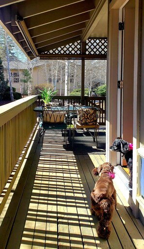 Une terrasse extérieure couverte avec une plateforme en bois, du mobilier d’extérieur et un chien.