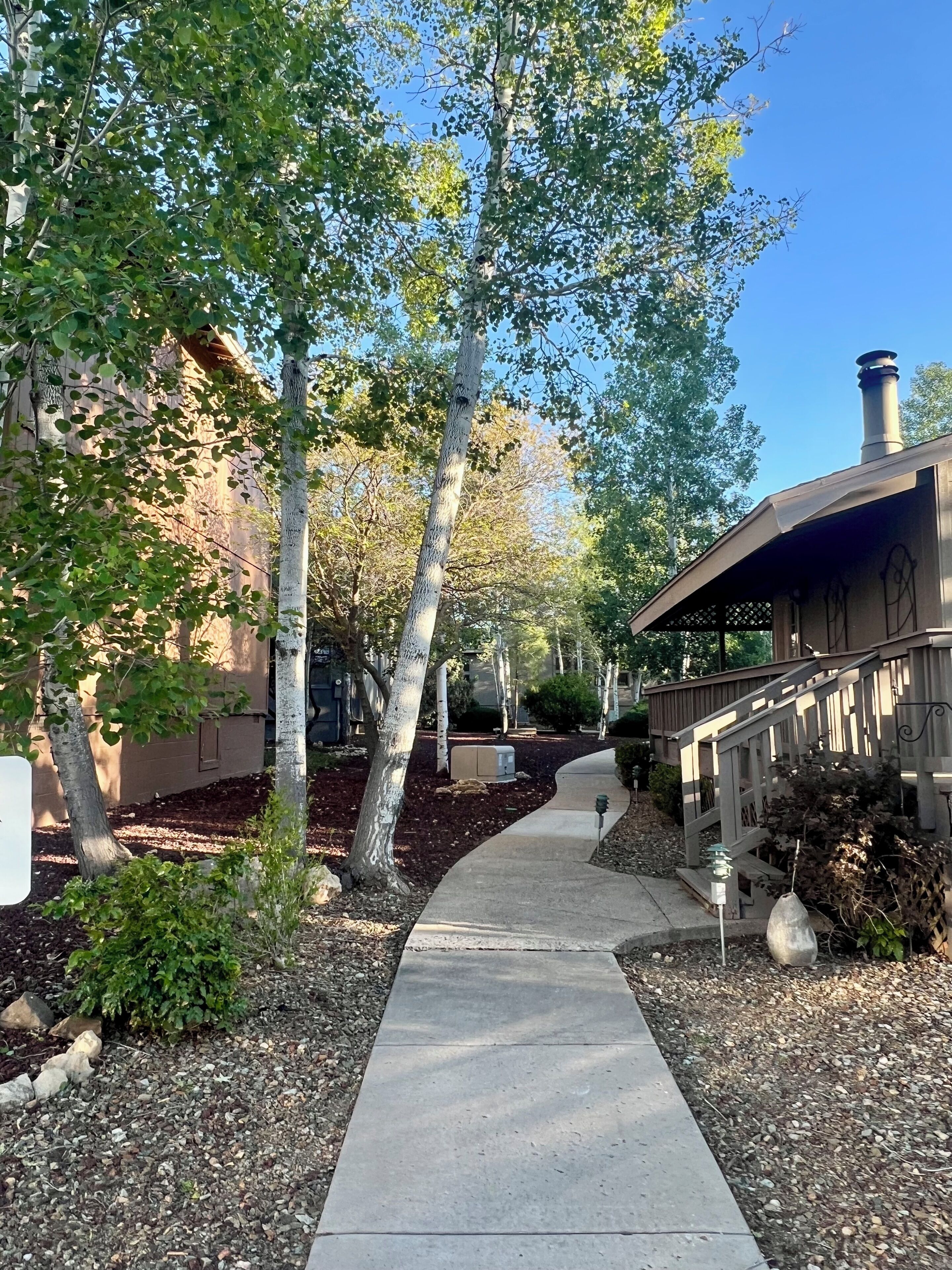 A pathway leading to a building with a covered porch and a chimney.