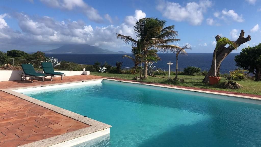 A swimming pool with lounge chairs, palm trees, and a view of the ocean.