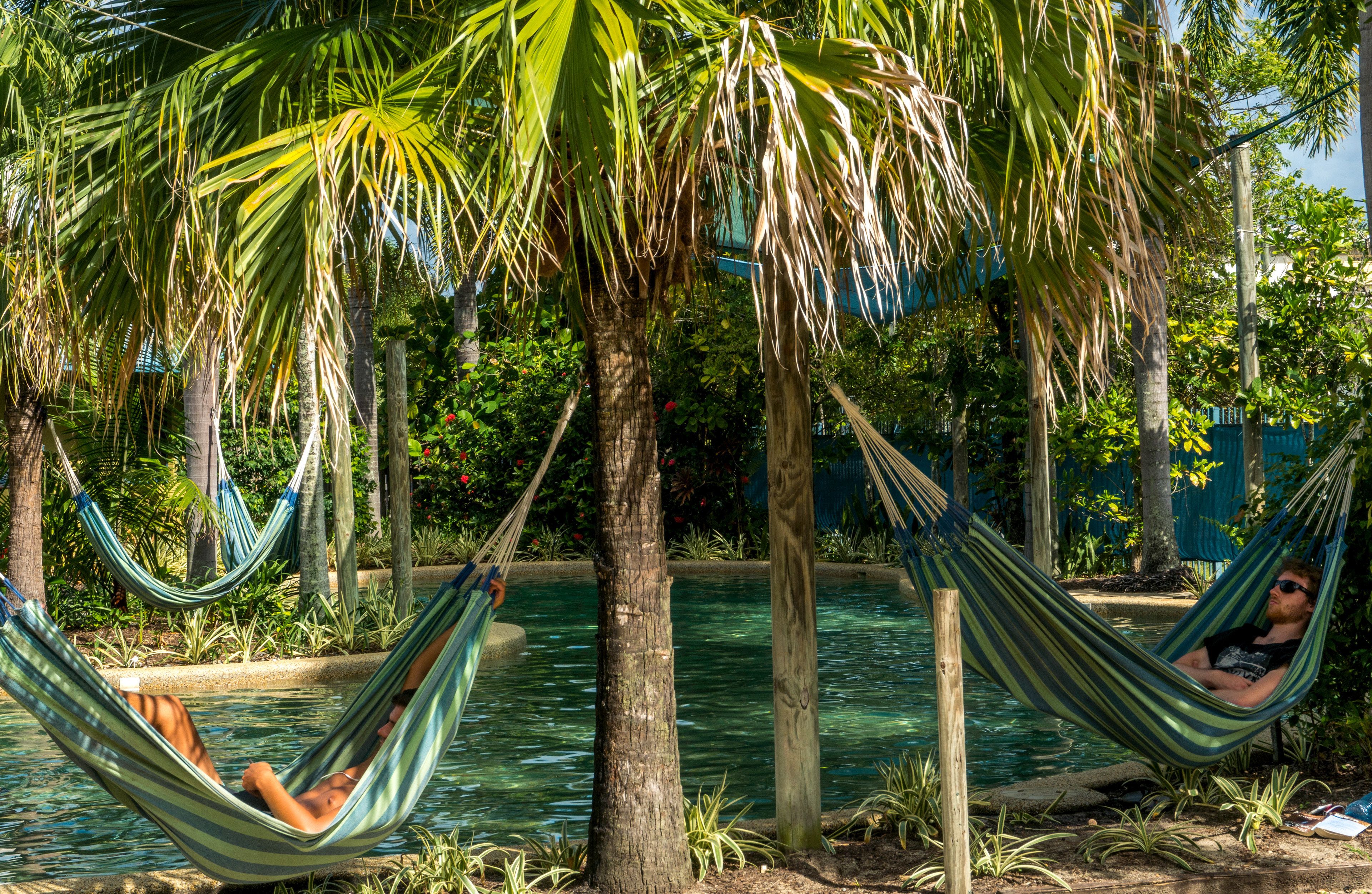 A pool area with two hammocks, palm trees, and a clear blue pool.