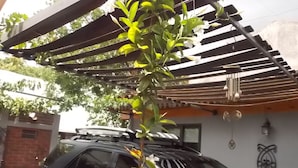 A car parked under a pergola with a plant in the foreground. - El Fresno (Mendoza)