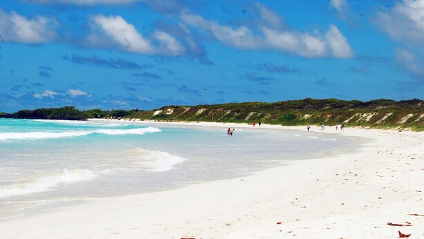 A beach with clear turquoise water, white sand, and a hilly landscape in the background. - The Island Home (Puerto Ayora)