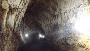 A narrow, dimly lit tunnel with rough, uneven walls and a dirt floor. - The Island Home (Puerto Ayora)