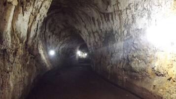 Ecotours