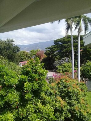 View from property - Imani Stayone (Kingston)