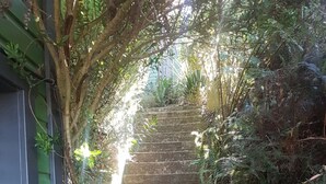 A stone staircase surrounded by dense foliage and a green metal fence. - Black Cockatoo - Secret Garden Mountains Home (Katoomba)