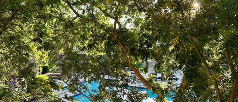 Alberca al aire libre y alberca climatizada