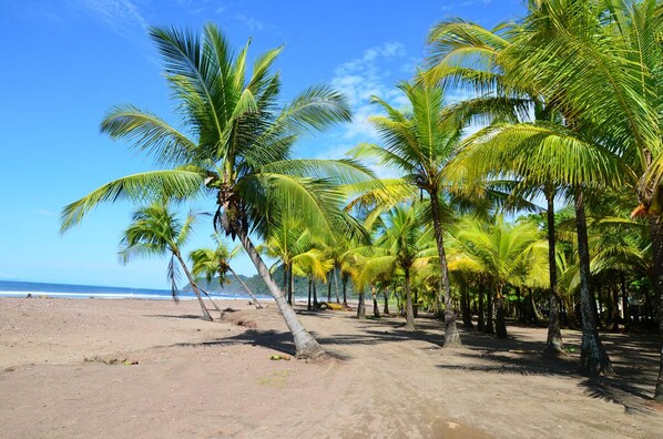 Playa en los alrededores y toallas de playa 