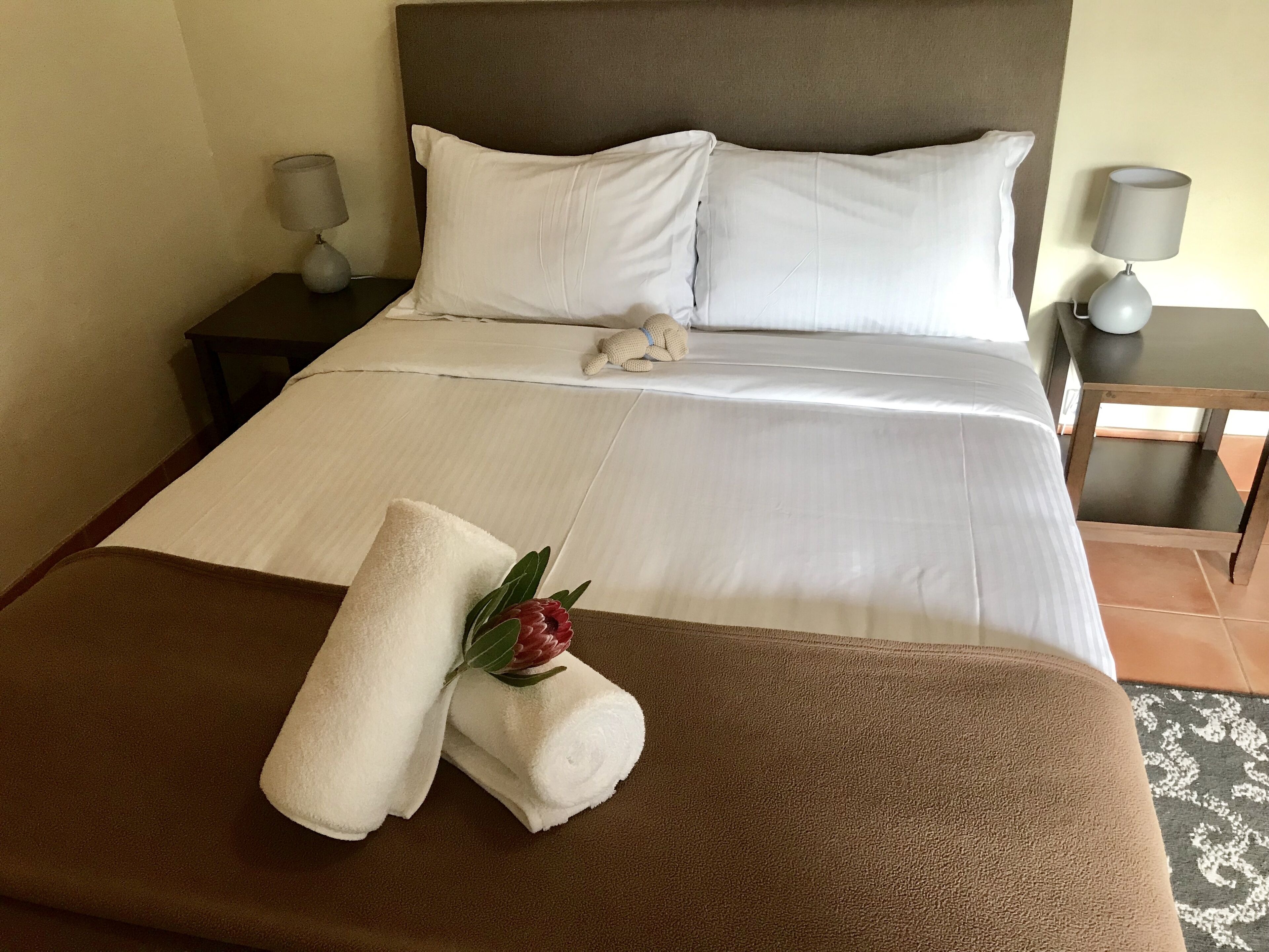 Happy Dogs Margaret River — image 4