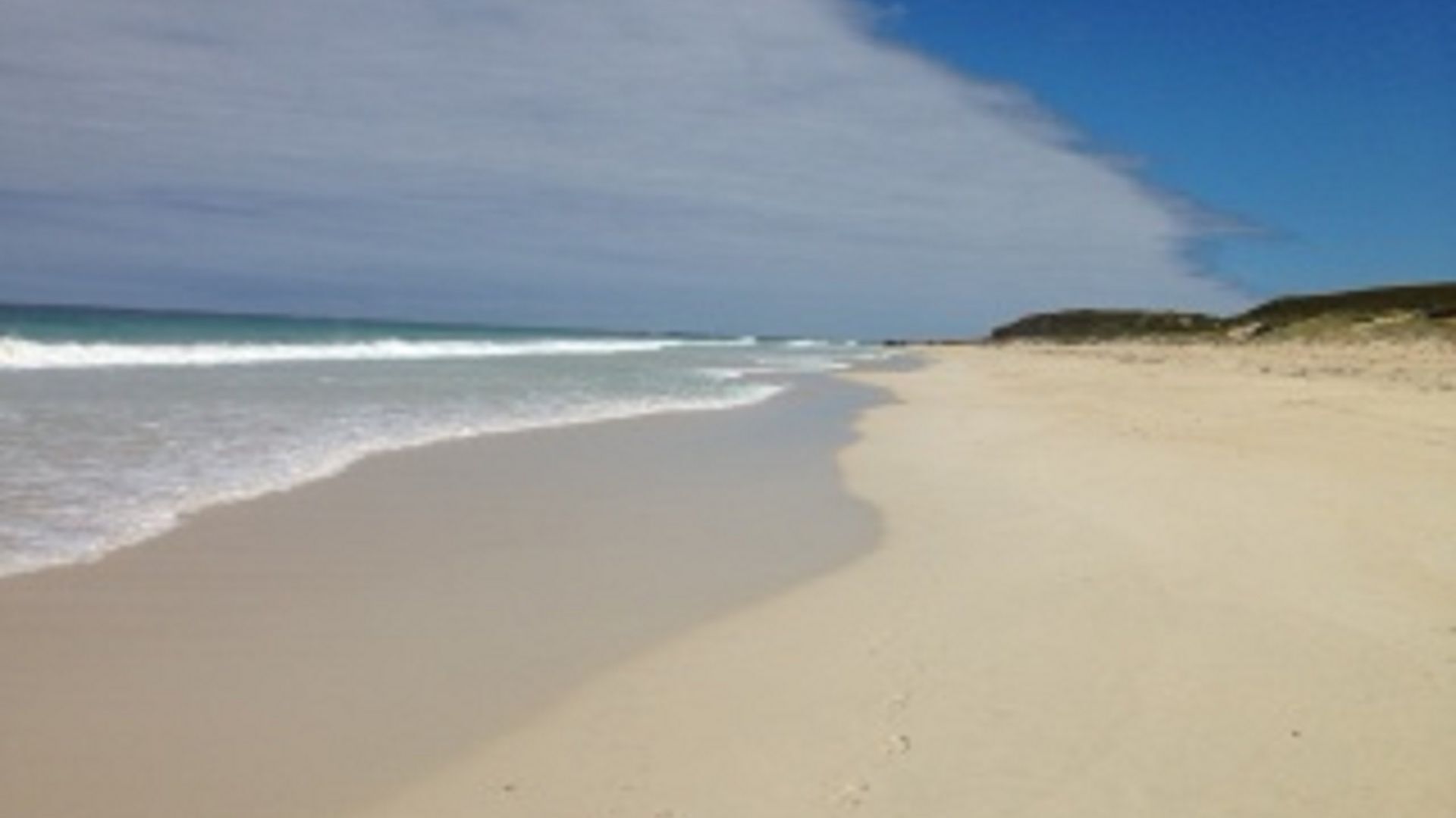 Happy Dogs Margaret River — image 16