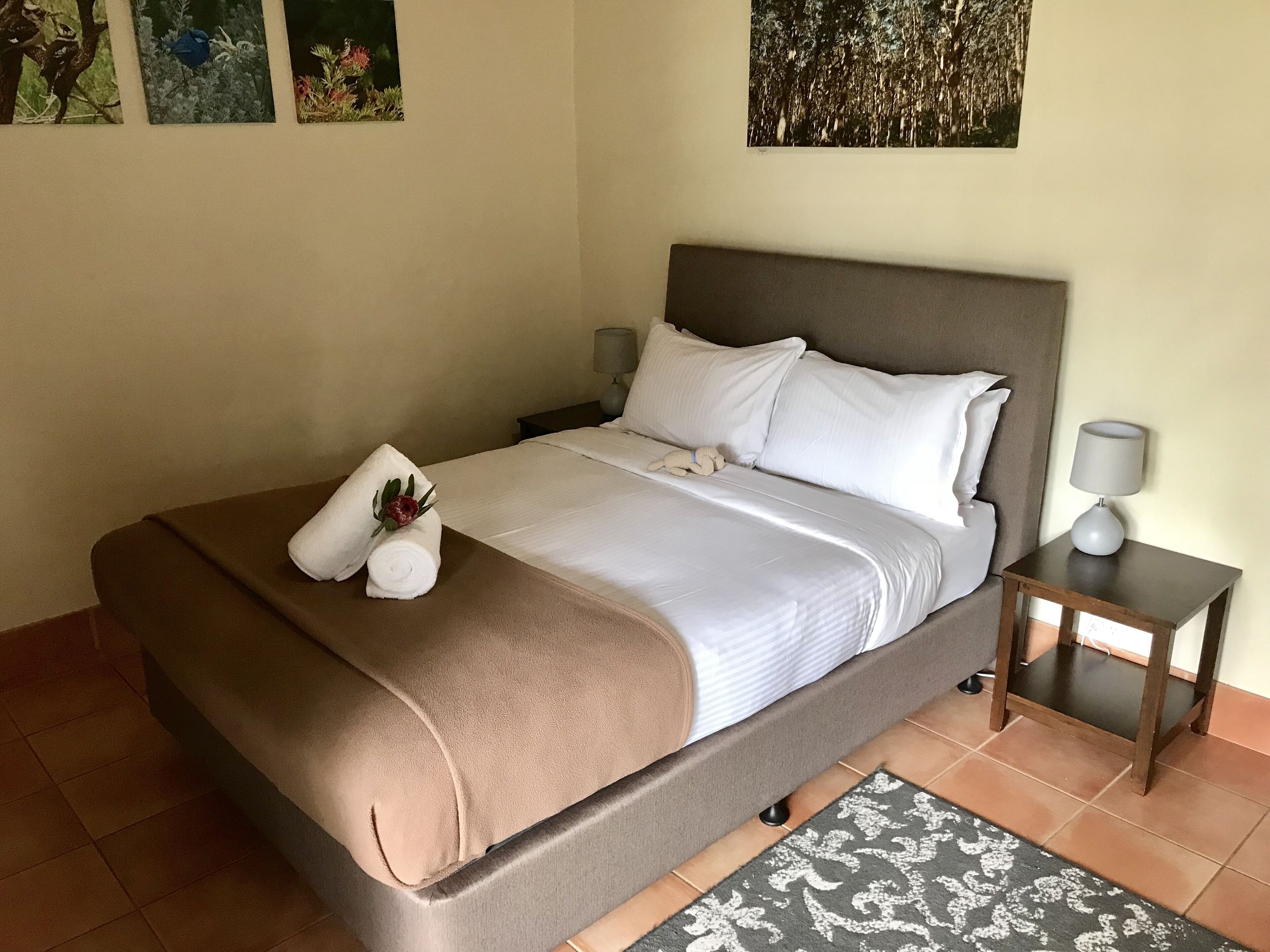 Happy Dogs Margaret River — image 3