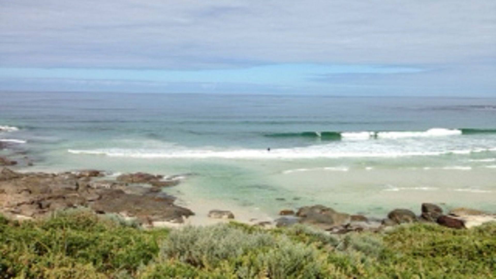 Happy Dogs Margaret River — image 15