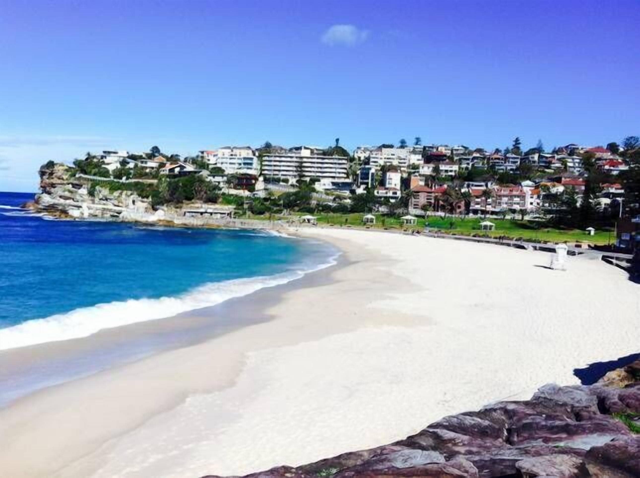 Clovelly/Bronte Shoreside - 4 bedroom house — image 20