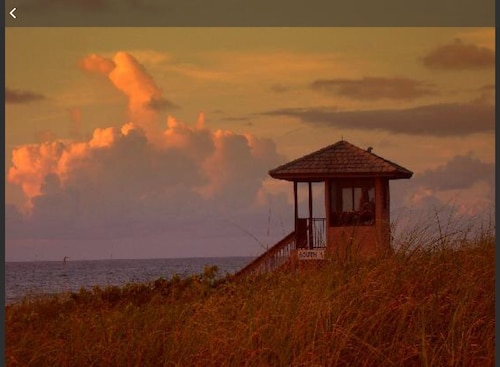 Fun Downtown Delray Home-Walk to Atlantic Ave.-Pool-Tiki hut-Bikes-WiFi-Near All