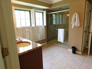 Hair dryer, towels, soap, shampoo - Office and 5 BR, Updated Bathrooms, Movie Theater in Creve Coeur  (Creve Coeur)