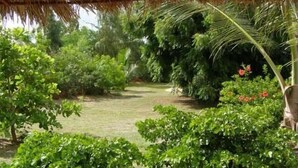 Property grounds - Gite L'anarcadier (Ngaparou)