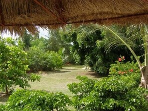 Εξωτερικός χώρος καταλύματος