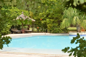 Pool - Gite L'anarcadier (Ngaparou)