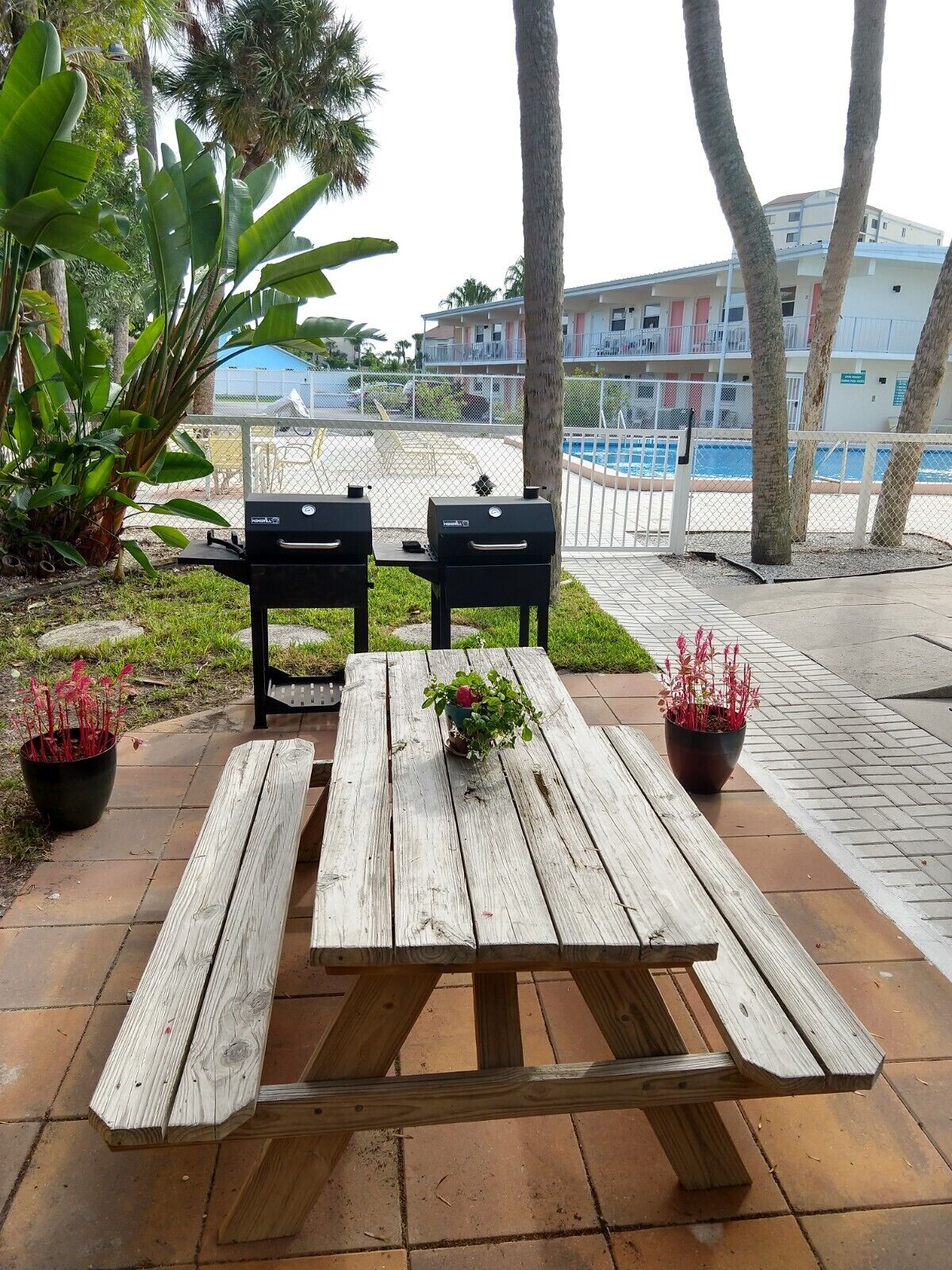 16 Best Monthly Rentals In Venice, Florida Updated 2024 Trip101