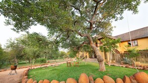 Property grounds - vcvcbbvvbbvb (Hoedspruit)
