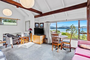LCD TV, fireplace, DVD player, books
