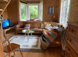 Télévision, cheminée, Netflix, lecteur de DVD