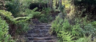 Whaler's Cottage - Great Barrier Island