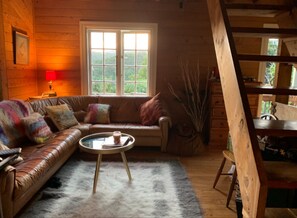 Télévision, cheminée, Netflix, lecteur de DVD