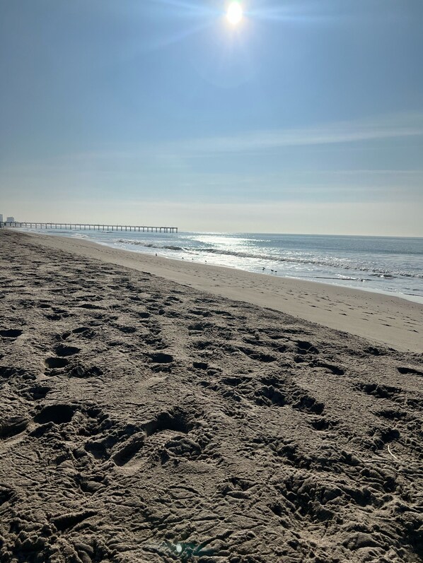 On the beach, sun-loungers