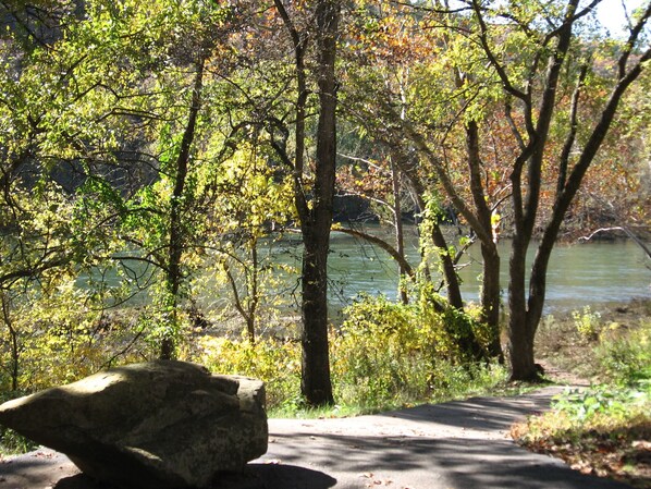 Property grounds - No Stairs!! Walk in! Pet Friendly! @ Pointe Royale! Free WiFi~ Fireplace~CLEAN (Branson)