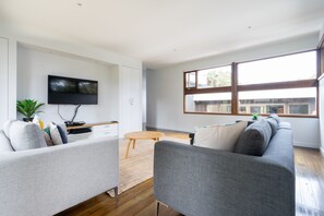 LED 电视、壁炉、游戏机、DVD 播放器